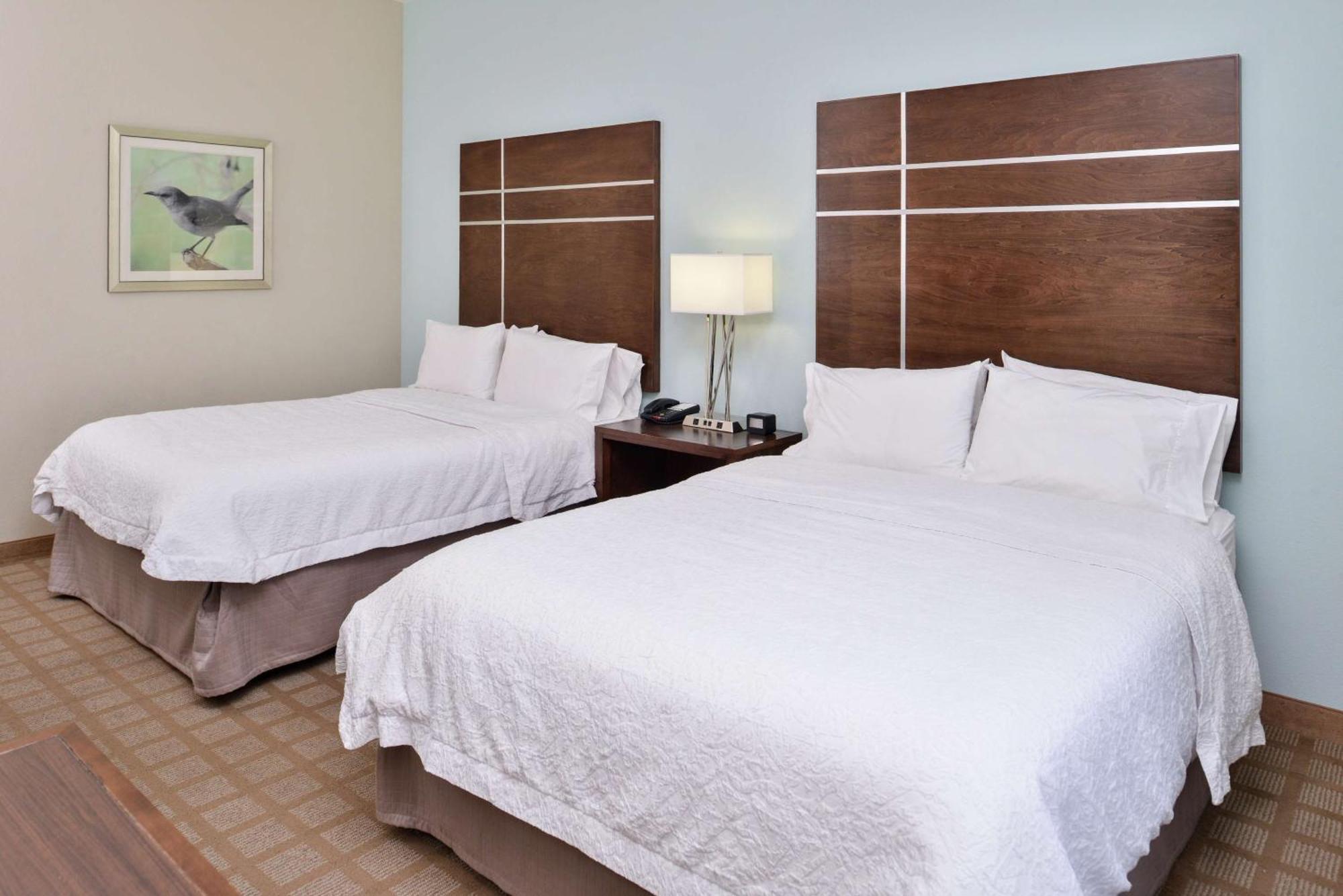 Hampton Inn And Suites Hutto Dış mekan fotoğraf
